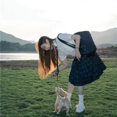 春光灿烂猪八戒