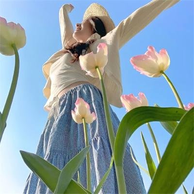 岩浆毒蛛